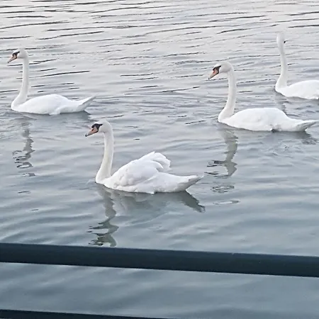 Otard ベオグラード