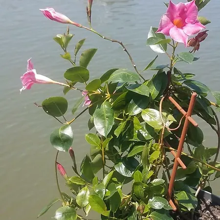 奥塔德旅舍 贝尔格莱德