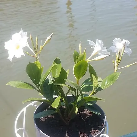 旅馆 奥塔德旅舍 贝尔格莱德