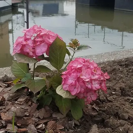 旅馆 奥塔德旅舍