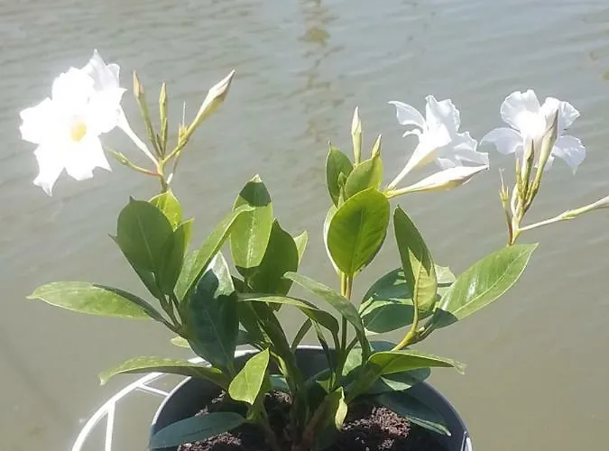 Hostel Otard Belgrad